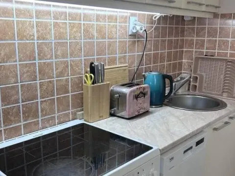 Rent, two bedroom apartment, 37m², Dorćol Sve Podlokacije, Beograd - image 3