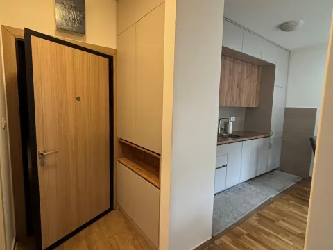 Izdavanje, jednosoban stan, 40m², Zabjelo, Podgorica - image 11