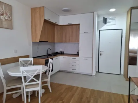 Izdavanje, jednosoban stan, 50m², Stari Aerodrom, Podgorica - image 8