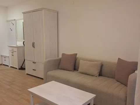 Prodaja, garsonjera, 31m², Golubovina, Budva - image 3