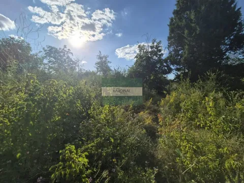 Prodaja, kuća, 56m², Kolonija, Jagodina - image 11