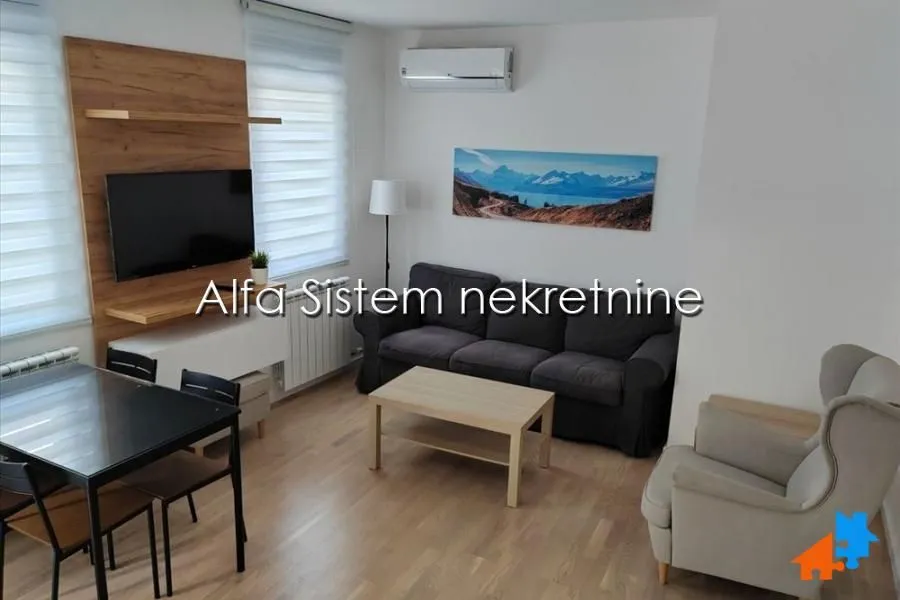 Izdavanje, dvosoban stan, 49m², Vračar Sve Podlokacije, Beograd