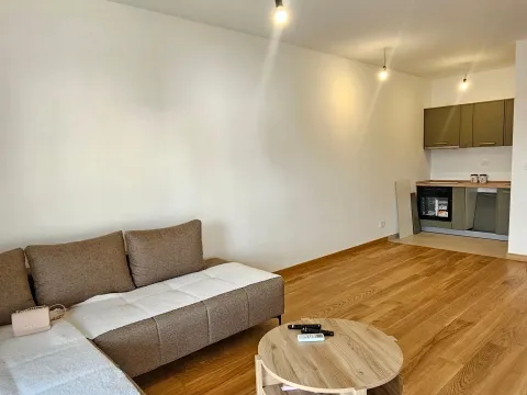 Prodaja, jednosoban stan, 45m², City Kvart, Podgorica - image 4