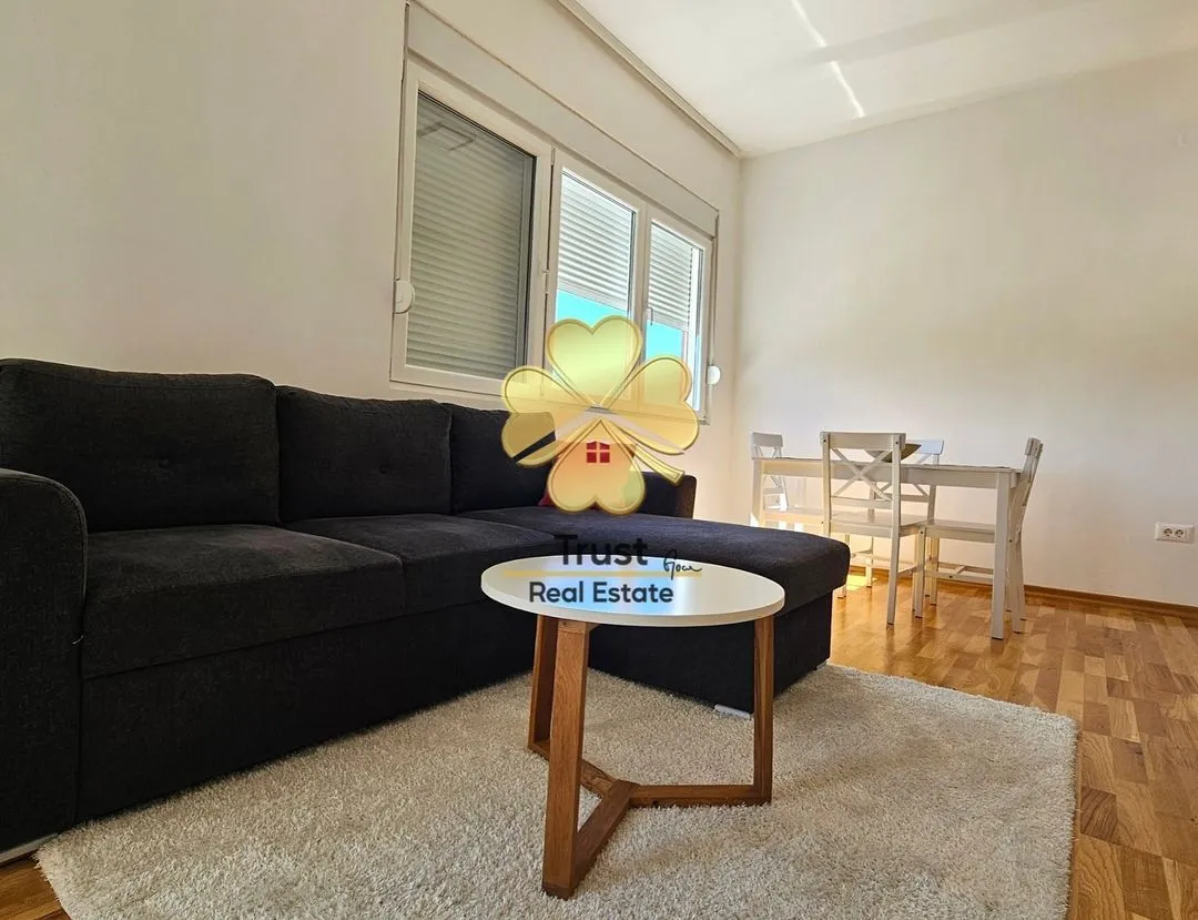 Rent, one bedroom apartment, 45m², Zagorič, Podgorica