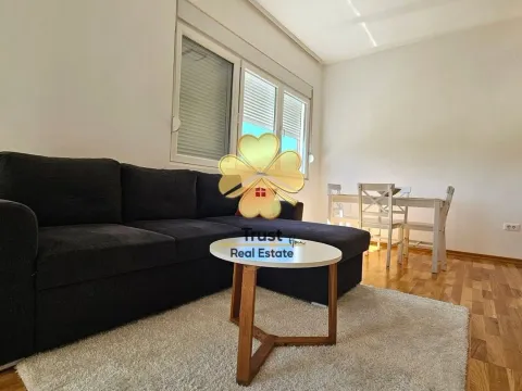 Izdavanje, jednosoban stan, 45m², Zagorič, Podgorica - image 7