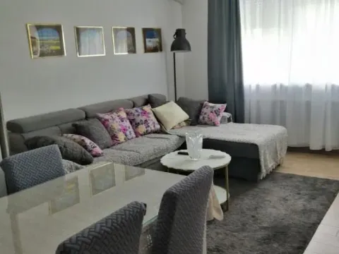 Izdavanje, dvosoban stan, 45m², Telep, Novi Sad Sve Podlokacije - image 2