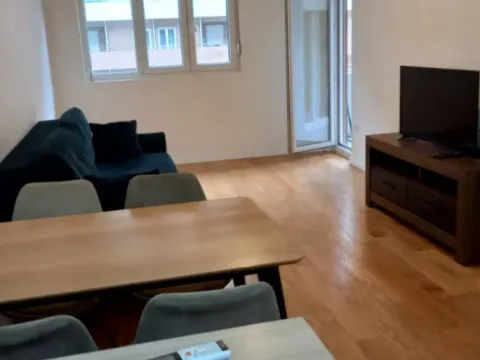 Izdavanje, jednosoban stan, 47m², Central Point, Podgorica - image 13