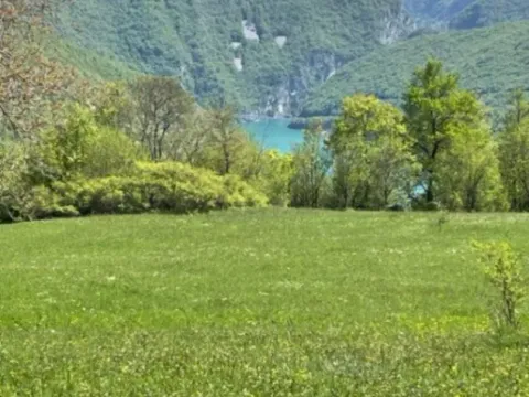 Sale, land lot, 15000m², Seljani, Plužine - image 3