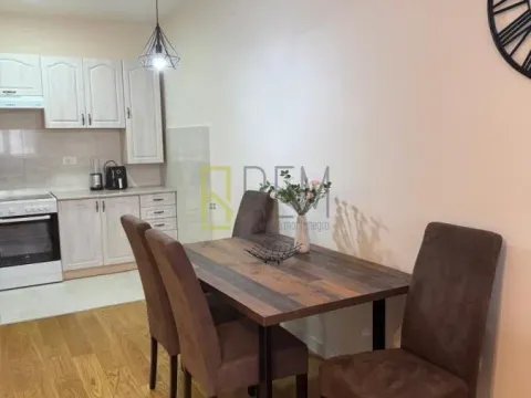 Rent, one bedroom apartment, 49m², Central Point, Podgorica - image 2