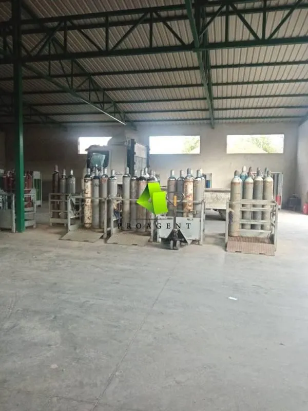 Izdavanje, poslovni prostor, 600m², Crveni Krst, Niš
