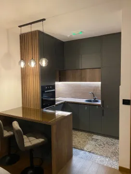 Rent, one bedroom apartment, 51m², Ljubović, Podgorica - image 4