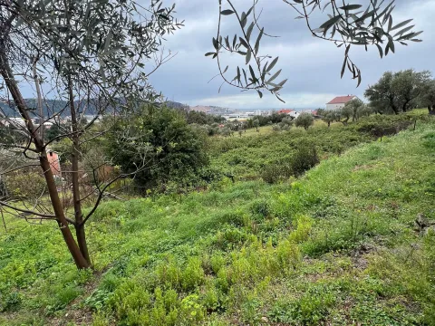 Prodaja, plac, 626m², Stari Bar, Bar - image 2