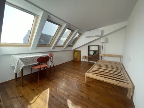 Prodaja, jednosoban stan, 28m², Podbara, Novi Sad Sve Podlokacije