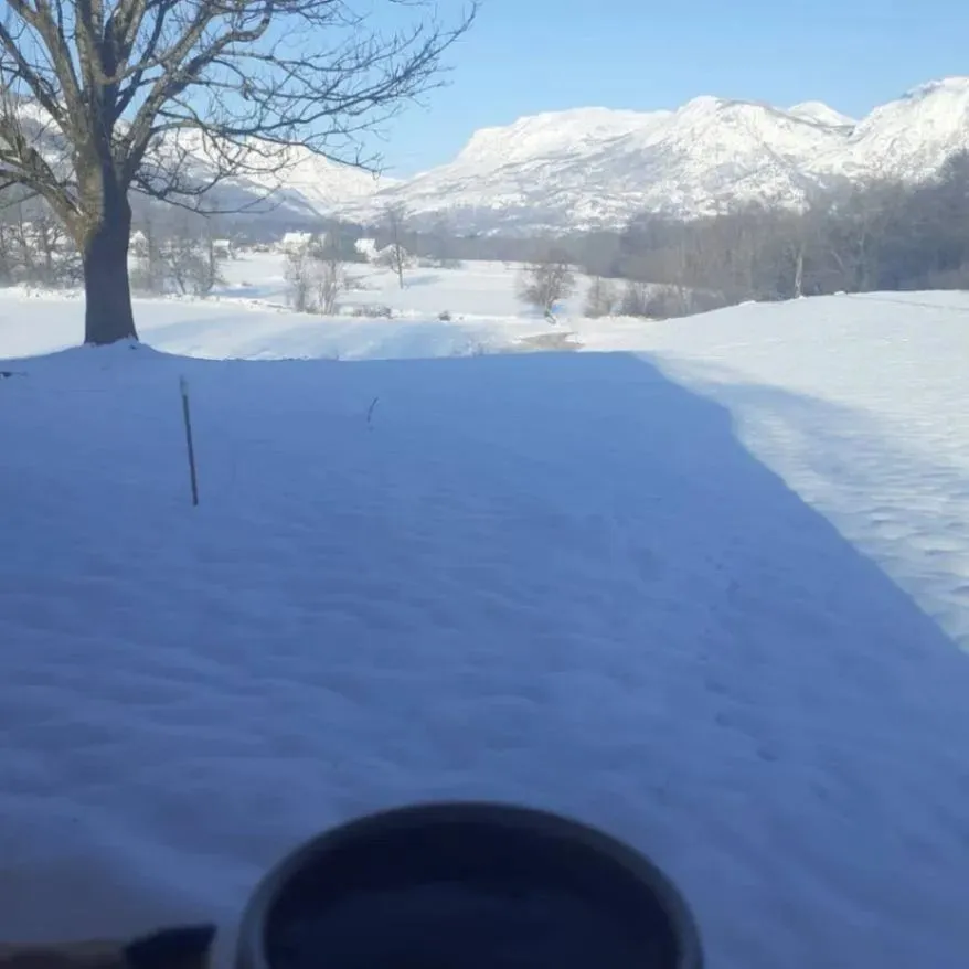Prodaja, plac, 9000m², Kolašin, Crna Gora