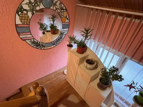 Prodaja, kuća, 274m², Tavrića obori, Jagodina - image 2