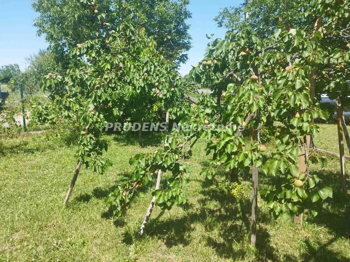 Sale, house, 200m², Jakovo, Surčin