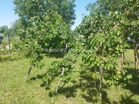 Sale, house, 200m², Jakovo, Surčin - image 16