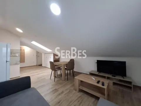 Izdavanje, stan, 25m², Adice, Novi Sad Sve Podlokacije - image 4