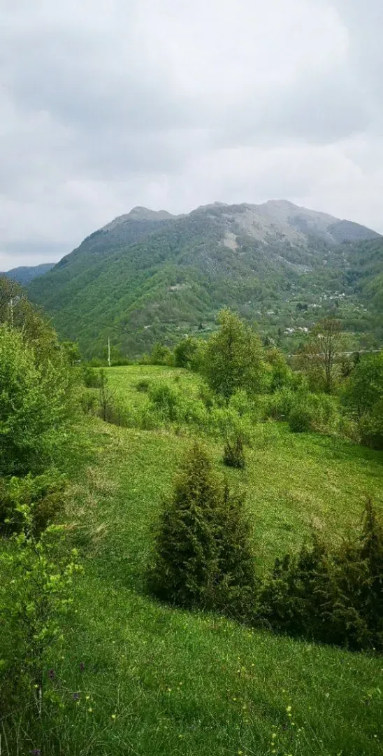 Prodaja, plac, 5300m², Bašanje Brdo, Kolašin