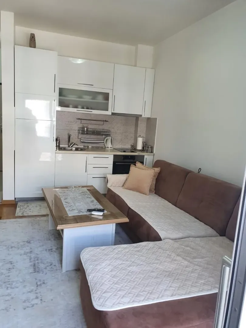 Living room with kitchen and dining area.