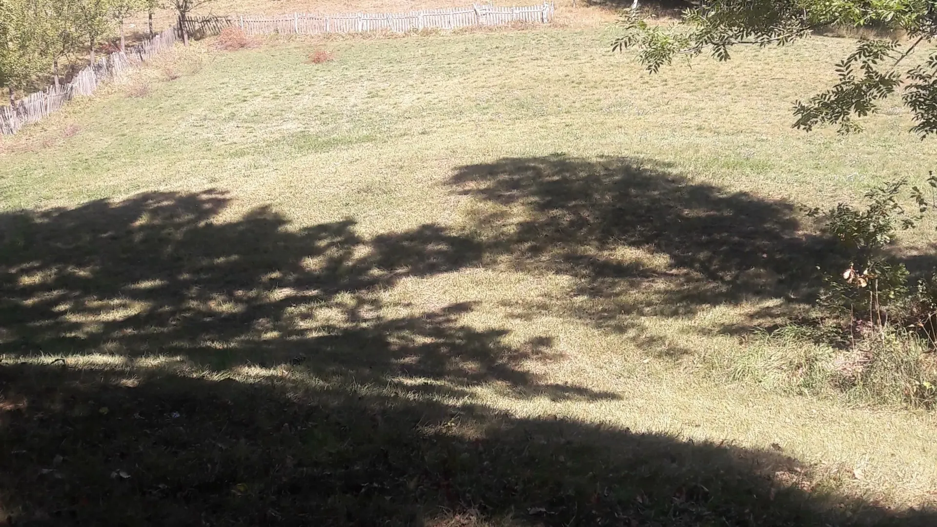 Prodaja, plac, 4744m², Centar, Čajetina
