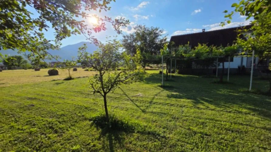 Prodaja, plac, 6000m², Ćurilac, Danilovgrad