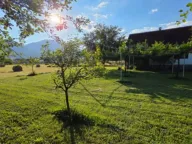 Prodaja, plac, 6000m², Ćurilac, Danilovgrad - image 3