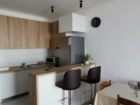 Izdavanje, jednosoban stan, 45m², Ljubović, Podgorica - image 4