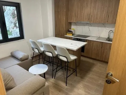 Rent, one bedroom apartment, 45m², Virpazar, Bar - image 6