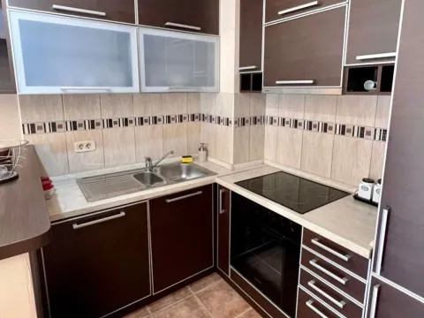 Izdavanje, jednosoban stan, 54m², Krivi Most, Podgorica - image 4