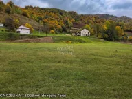 Prodaja, plac, 9814m², Kolašin, Crna Gora - image 6