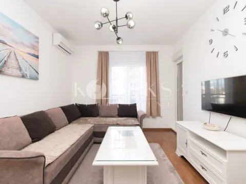 Rent, one bedroom apartment, 45m², Zabjelo, Podgorica - image 4