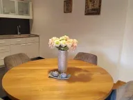 Rent, house, 170m², Adice, Novi Sad Sve Podlokacije - image 5