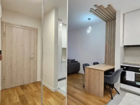 Izdavanje, jednosoban stan, 43m², Central Point, Podgorica - image 8