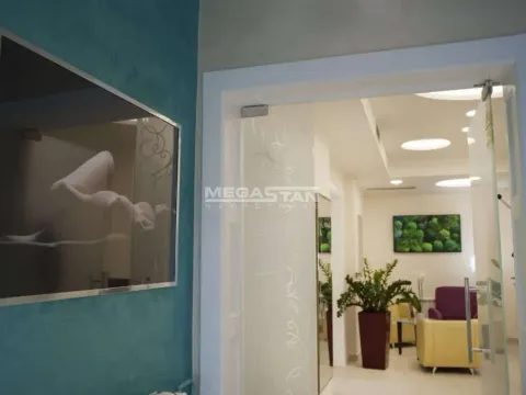 Izdavanje, poslovni prostor, 590m², Vračar Sve Podlokacije, Beograd - image 4