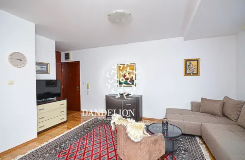 Rent, one bedroom apartment, 59m², Central Point, Podgorica - image 1457