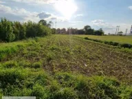 Prodaja, plac, 10m², Zvečka, Obrenovac - image 3