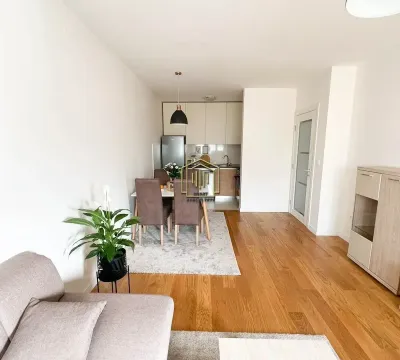 Izdavanje, jednosoban stan, 49m², Central Point, Podgorica - image 2