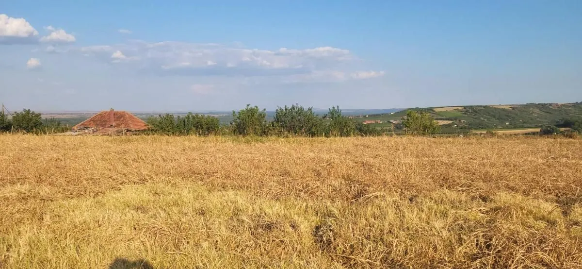 Prodaja, plac, 1438m², Petrovaradin, Novi Sad