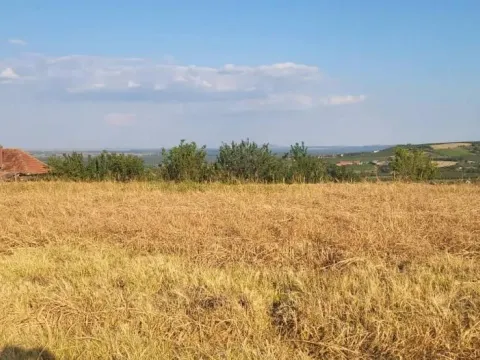 Prodaja, plac, 1438m², Petrovaradin, Novi Sad - image 8