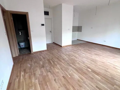 Prodaja, dvosoban stan, 70m², Zabjelo, Podgorica - image 5