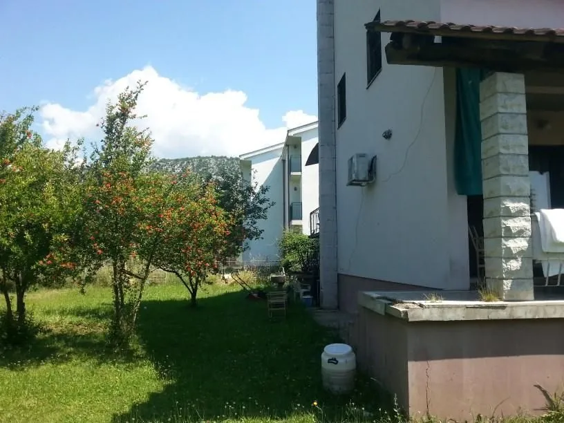 Dvorište kuće sa zelenim travnjakom i voćkama.
