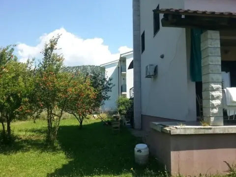 Dvorište kuće sa zelenim travnjakom i voćkama. - image 3