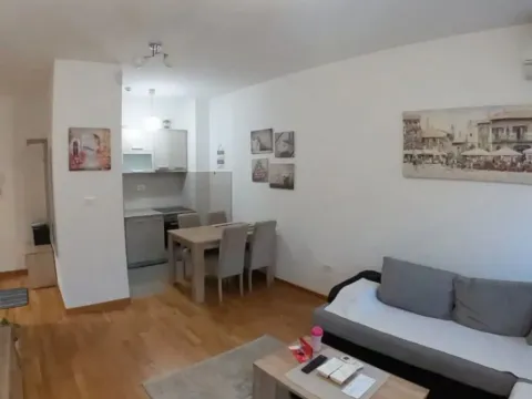 Rent, one bedroom apartment, 43m², City Kej, Podgorica - image 3