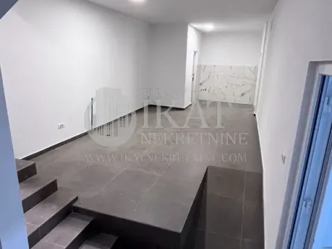 Izdavanje, poslovni prostor, 300m², Zemun Sve Podlokacije, Beograd - image 2