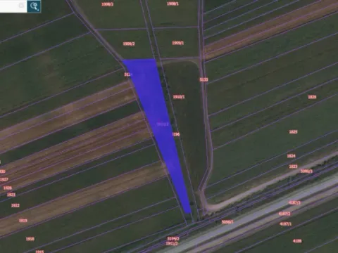 Sale, land lot, 14100m², Ovča, Palilula Sve Podlokacije - image 3