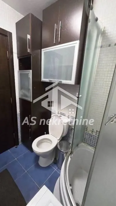 Izdavanje, dvosoban stan, 50m², Novi Beograd Blok 63, Novi Beograd Sve Podlokacije