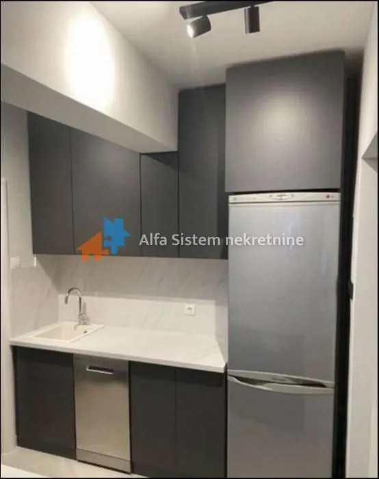 Izdavanje, dvosoban stan, 65m², Tašmajdan, Palilula Sve Podlokacije