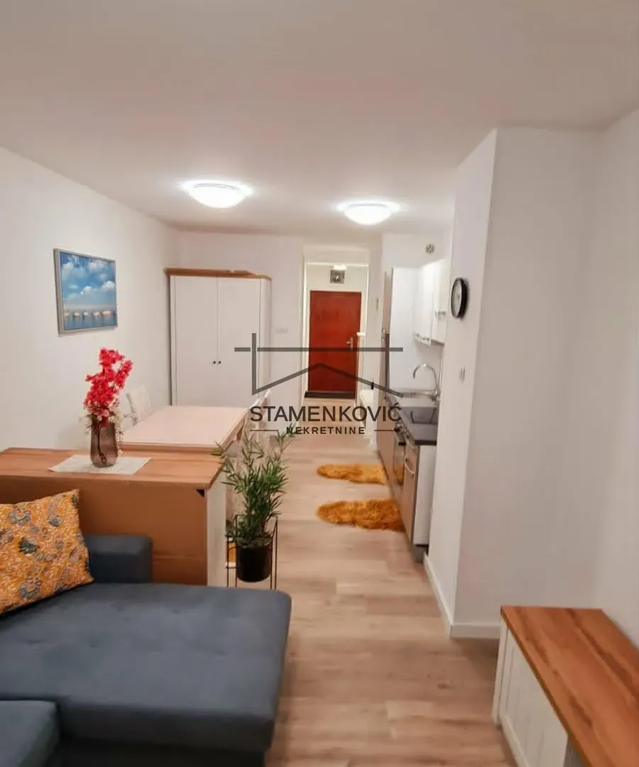 Izdavanje, stan, 34m², Sajam, Novi Sad Sve Podlokacije