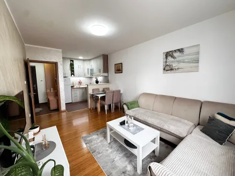 Izdavanje, jednosoban stan, 45m², Krivi Most, Podgorica - image 2